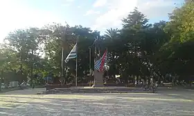 Sauce (Uruguay)