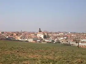 Morales del Vino