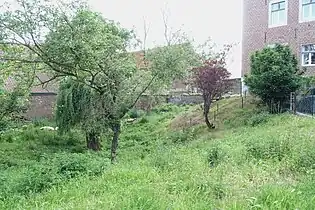 Motte et douves du Maison-forte