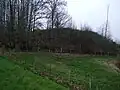 Motte castrale 4