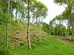 Mottes féodales dites Les Bourgs Heusas XIe&nbsp;siècle.