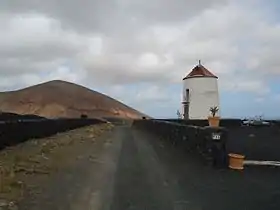 Tiagua