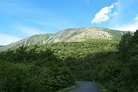Vue du mont Hayachine depuis le sud.