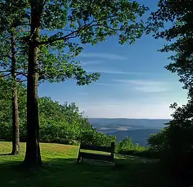 Springfield Township (comté de Bradford, Pennsylvanie)