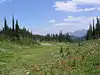 Mont Revelstoke
