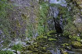 La source du Doubs.