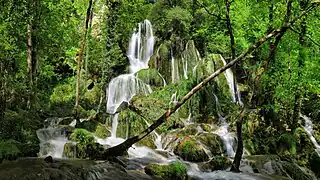 La partie basse de la cascade avec les massifs de tuf.