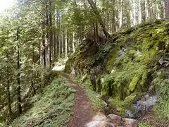 Mont Hood Wilderness