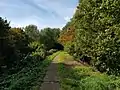 Allée du parc