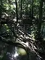 Ruisseau "Tegeler Fließ".