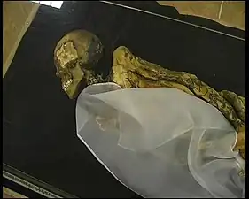 Momie de la Princesse de l'Altaï du Ve&nbsp;siècle&nbsp;av. J.-C., découverte en 1993 par Natalia Polosmak dans un kourgane de la culture pazyryk.