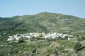 Turón