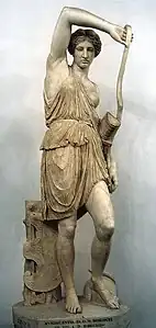 Amazone blessée.