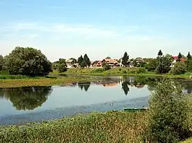 Mužilovčica
