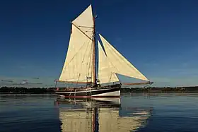 illustration de Mytilus (voilier)