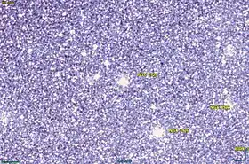 Image illustrative de l’article NGC 1928