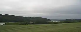 Buschvitz
