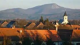 Lovča