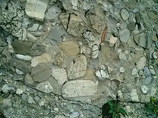Conglomérat dans le Speer, Alpes suisses.