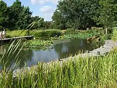 Le bayou américain