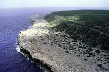 Falaises côtières de l'île.