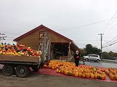 Neuville, récolte d'automne.