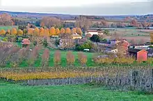 Image dans Infobox.