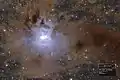 Photographie de NGC 7023 par un astronome amateur (Mirco Rösler).
