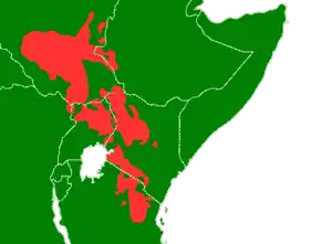 Image illustrative de l’article Langues nilotiques