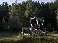 Un chevalet dans le Parc National (à proximité du village de Pospelovo)