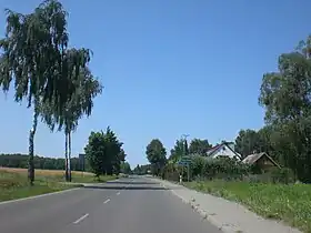 Krysk Nowy