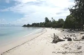 Île Nusi