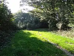 Une invitation à la découverte du sous-bois.