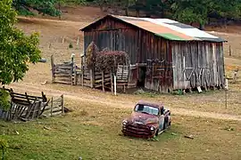 Pick-up Chevrolet des années 1950, d'une grange américaine.