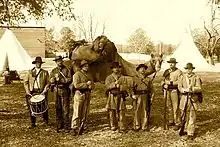 Douglas, un chameau mascotte du 43rd Mississippi Infantry (en), mort en 1863.