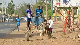 Toubab Dialo