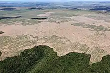 Déforestation en Amazonie brésilienne en 2016