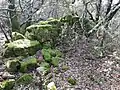 Un mur extérieur de l'oppidum, à environ 100m au Nord du rempart.