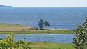 Orwell Cove
