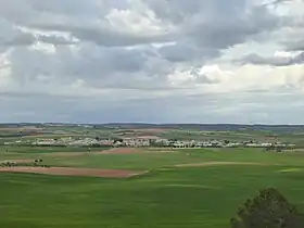 Osa de la Vega