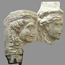 Oscillum.