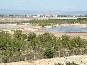 Clôture ouest. Salines sur le sol cubain