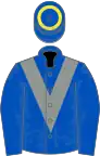 Royal blue with grey chevron, royal blue sleeves, royal blue cap, yellow hoop