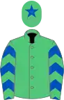 verte, manches chevronnées vert et bleu roy, toque verte une étoile bleu roy
