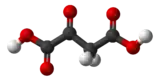 Image illustrative de l’article Acide oxaloacétique