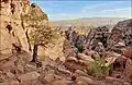 Un wadi dans le djebel.