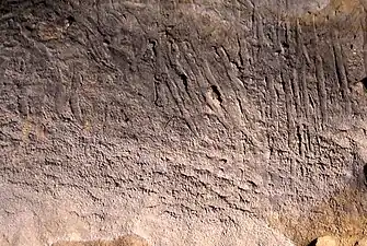 Tracés digitaux de la salle des Mystères dans la grotte de Bàsura.