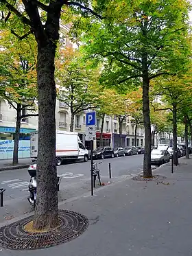 Voir la photo.