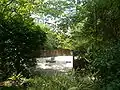 Jardin « zen »