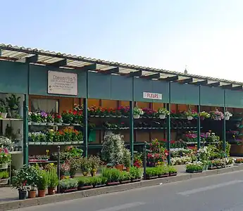 Une boutique de fleurs implantée sur le trottoir nord du quai de la Corse.